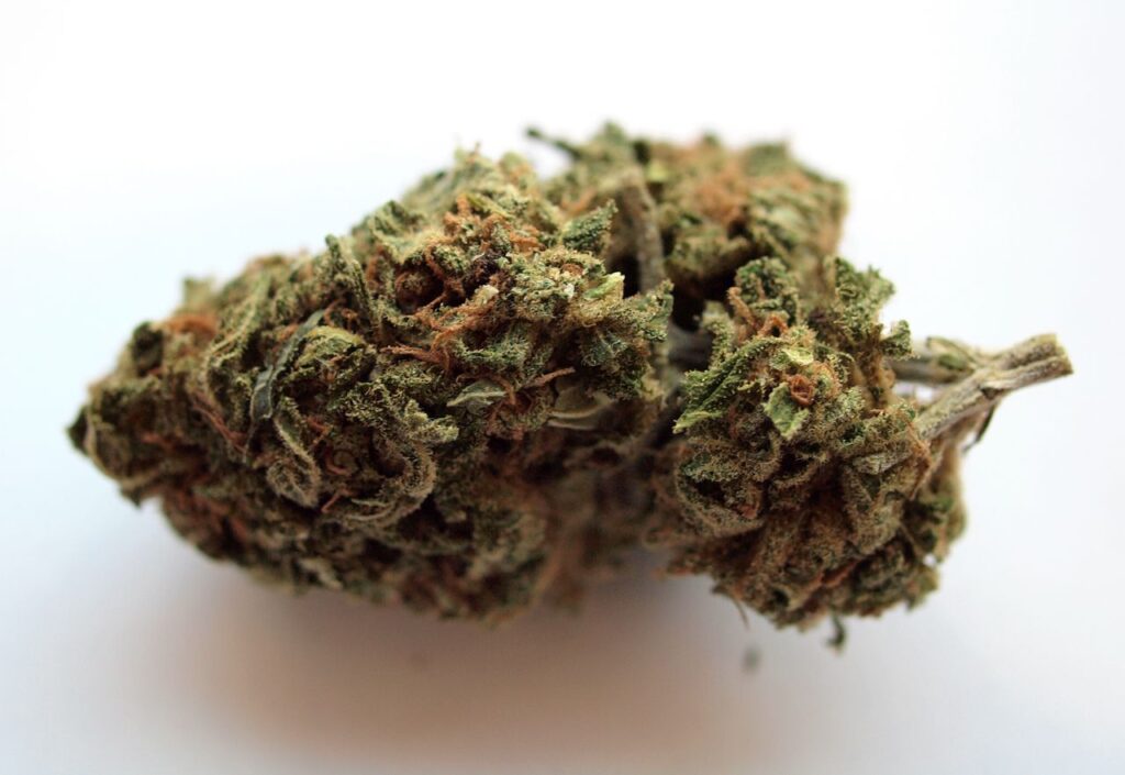 Detailed look at a cannabis bud showcasing texture and color on a white background.