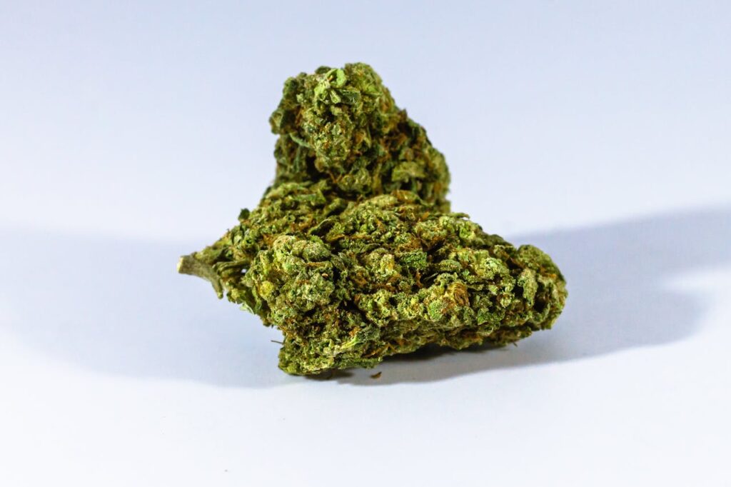 Detailed image of cannabis buds showcasing texture and color, ideal for educational or commercial use.