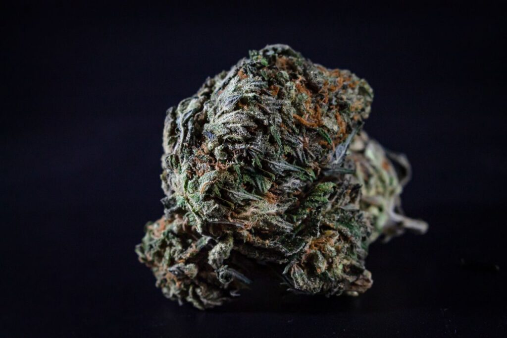 Detailed image of a cannabis bud against a black background, highlighting texture and detail.